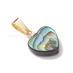 Природные пауа оболочки подвески&nbsp;PALLOY-JF05164