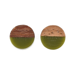 Серьги-гвоздики из непрозрачной смолы и орехового дерева&nbsp;X-EJEW-N017-008-B08