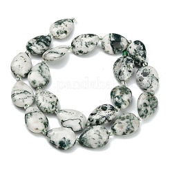 Натурального дерева агат бисер нитей&nbsp;G-NH0068-01