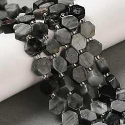 Натуральный орлиный глаз бусы G-P534-A14-02