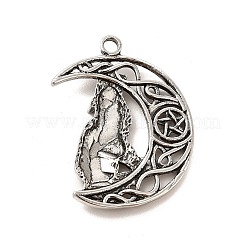 Сплавочные подвески тибетского стиля&nbsp;LS-PALLOY-B008-03AS