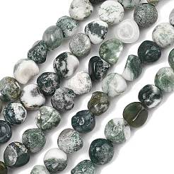 Натурального дерева агат бисер нитей&nbsp;G-D362-A02