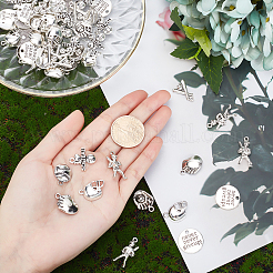 Подвески из цинкового сплава в тибетском стиле&nbsp;TIBEP-PH0001-27-RS