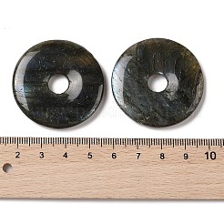 Природные подвески лабрадорита&nbsp;G-F524-H09