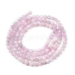 Природные кунцит бисер нитей&nbsp;G-G343-B04-3mm
