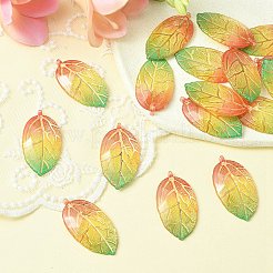 Прозрачные акриловые подвески&nbsp;TACR-YW0001-87A