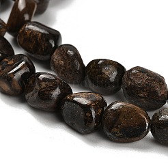 Природные бронзитом бисер нитей G-P497-01E-77