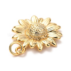 Латунные подвески&nbsp;KK-G399-27