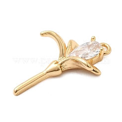 Латунные микропаве прозрачные подвески с фианитом&nbsp;KK-F916-27G