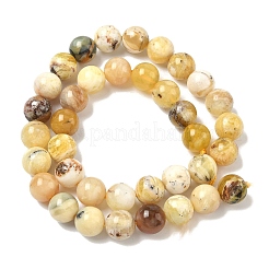 Природные желтые опал бусины пряди&nbsp;G-I213-18-10mm