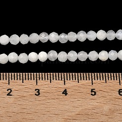 Бусины из натурального радужного лунного камня&nbsp;G-B168-A11-4mm