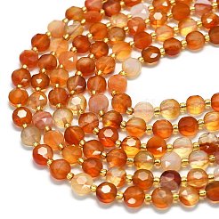 Натуральный красный агат бисер нитей&nbsp;G-C116-A12-02