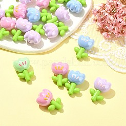 30шт эмалированные акриловые бусины&nbsp;OACR-CJ0002-01