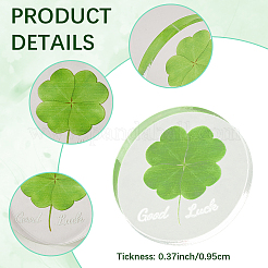 Акриловый кабошоны&nbsp;OACR-WH20008-02