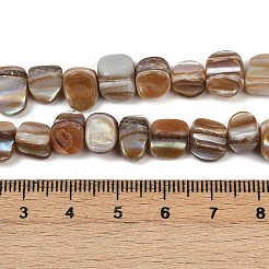 Нити бусин из натуральной ракушки трохус&nbsp;BSHE-Q050-01B