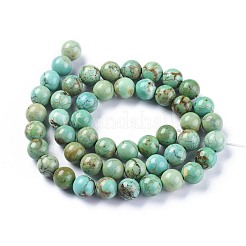 Бусины из натурального магнезита&nbsp;TURQ-F017-02-8mm