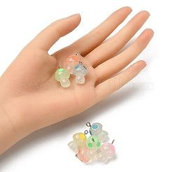 10шт 5 цвета подвески из светящейся смолы&nbsp;RESI-YW0001-37