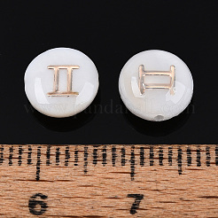 5шт натуральные пресноводные бусины из ракушек&nbsp;BSHE-TAC0004-01E