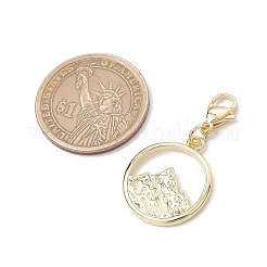 Подвесные украшения из латуни&nbsp;HJEW-JM03097-01