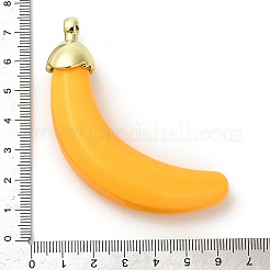 Непрозрачной акриловые большие подвески&nbsp;OACR-G049-05