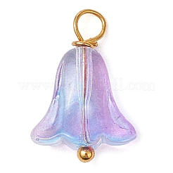 20шт. подвески из стеклянных бусин&nbsp;PALLOY-JF03103