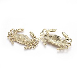 Подвески из сплава &nbsp;TIBEP-A040-016G-NR