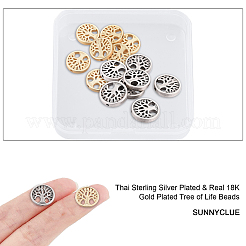 20шт бусины из сплава 2 цветов&nbsp;TIBEB-SC0001-14