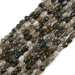 Природные лабрадорита бисер нитей&nbsp;LS-G-C250-03