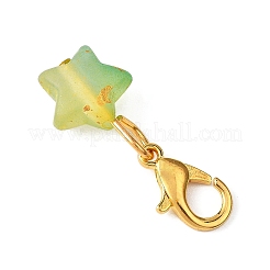 Звезды акриловые подвески украшения&nbsp;HJEW-JM04576
