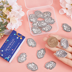 Подвески из сплава 20шт&nbsp;TIBE-SC0009-23