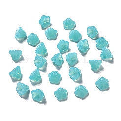 Полупрозрачные бусины из прозрачного стекла&nbsp;GLAA-G070-05D-09