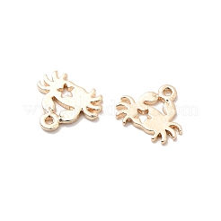 Латунные подвески&nbsp;KK-A277-06G