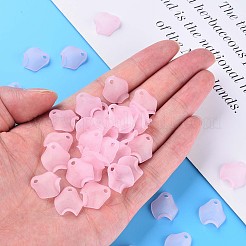 Прозрачные акриловые бусины&nbsp;LS-X-MACR-S373-106-D05