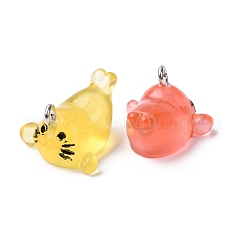 Прозрачные смоляные подвески&nbsp;RESI-A050-07B