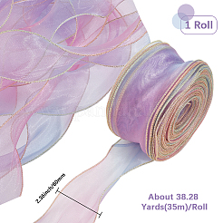 1 пакетик ленты из органзы градиентного цвета&nbsp;OHAR-CY0001-01C