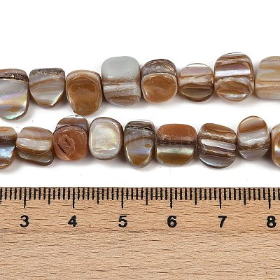 Нити бусин из натуральной ракушки трохус&nbsp;BSHE-Q050-01B-1