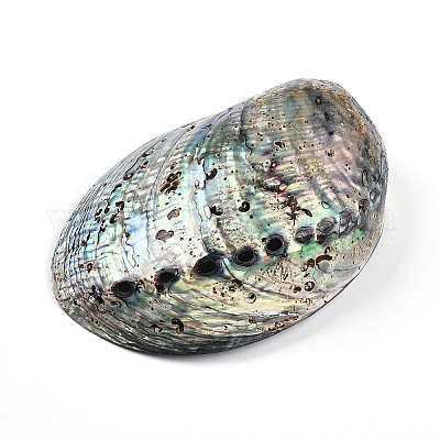 Бусины из натуральной ракушки пауа&nbsp;SSHEL-Q298-22-1