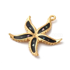 Подвески из натуральной ракушки из нержавеющей стали 304&nbsp;STAS-D362-05G