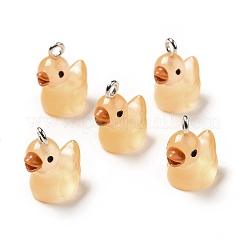 Подвески из светящейся полупрозрачной смолы RESI-A017-06