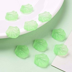 Прозрачные матовые акриловые подвески&nbsp;MACR-S371-01A-733