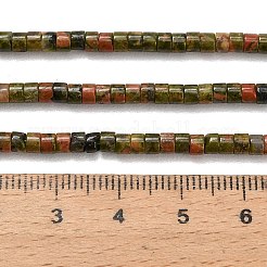 Природные Unakite бисер нитей&nbsp;G-P608-A10-01