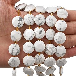 Природные Говлит бисер нитей&nbsp;G-A292-A03-01