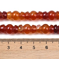 Бусины из натурального красного агата (окрашенные и нагретые)&nbsp;G-P595-B02-01