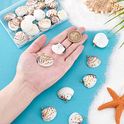 30 шт. Подвески из натуральных ракушек&nbsp;PALLOY-PH01839