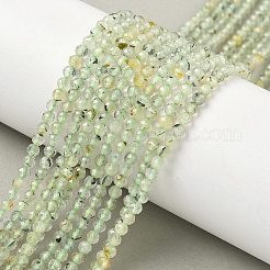 Природные пренит нитей бисера&nbsp;G-S300-12-3mm-01