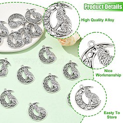15 шт. Подвески из сплава в тибетском стиле&nbsp;FIND-YW0011-12