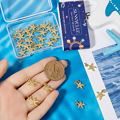 30 шт. подвески из гальванического сплава&nbsp;FIND-SC0012-41