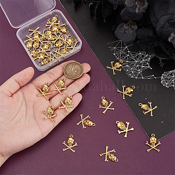 100 шт. Подвески из сплава в тибетском стиле&nbsp;FIND-PH0023-02AG