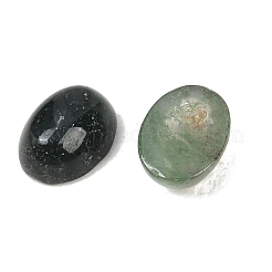 Природные моховой агат кабошонов&nbsp;G-D367-01B