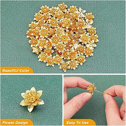 Латунные бусины&nbsp;KK-FH0002-69B